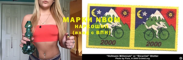 стаф Новокубанск